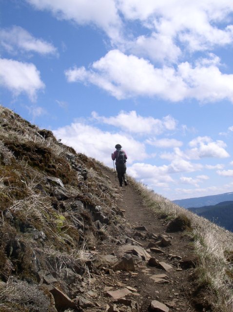 3.24.06 Dog Mountain 025 